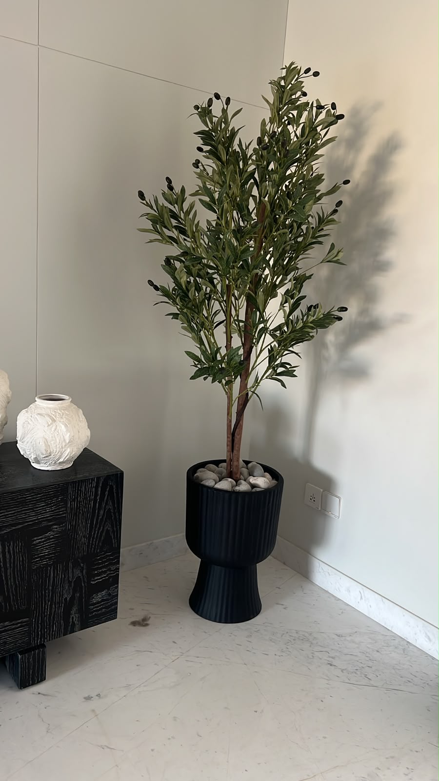 Olive Plant With pedestal Planter