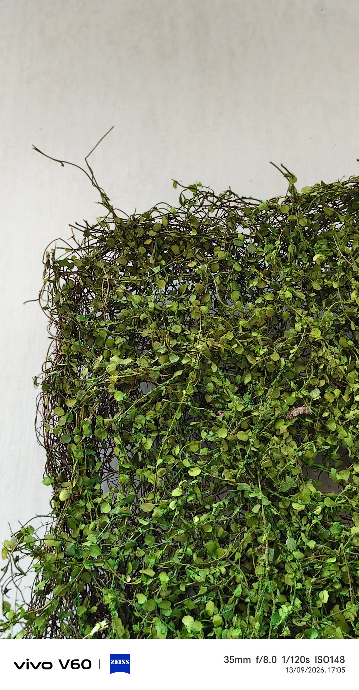 Artificial Moss Forest wall Matt