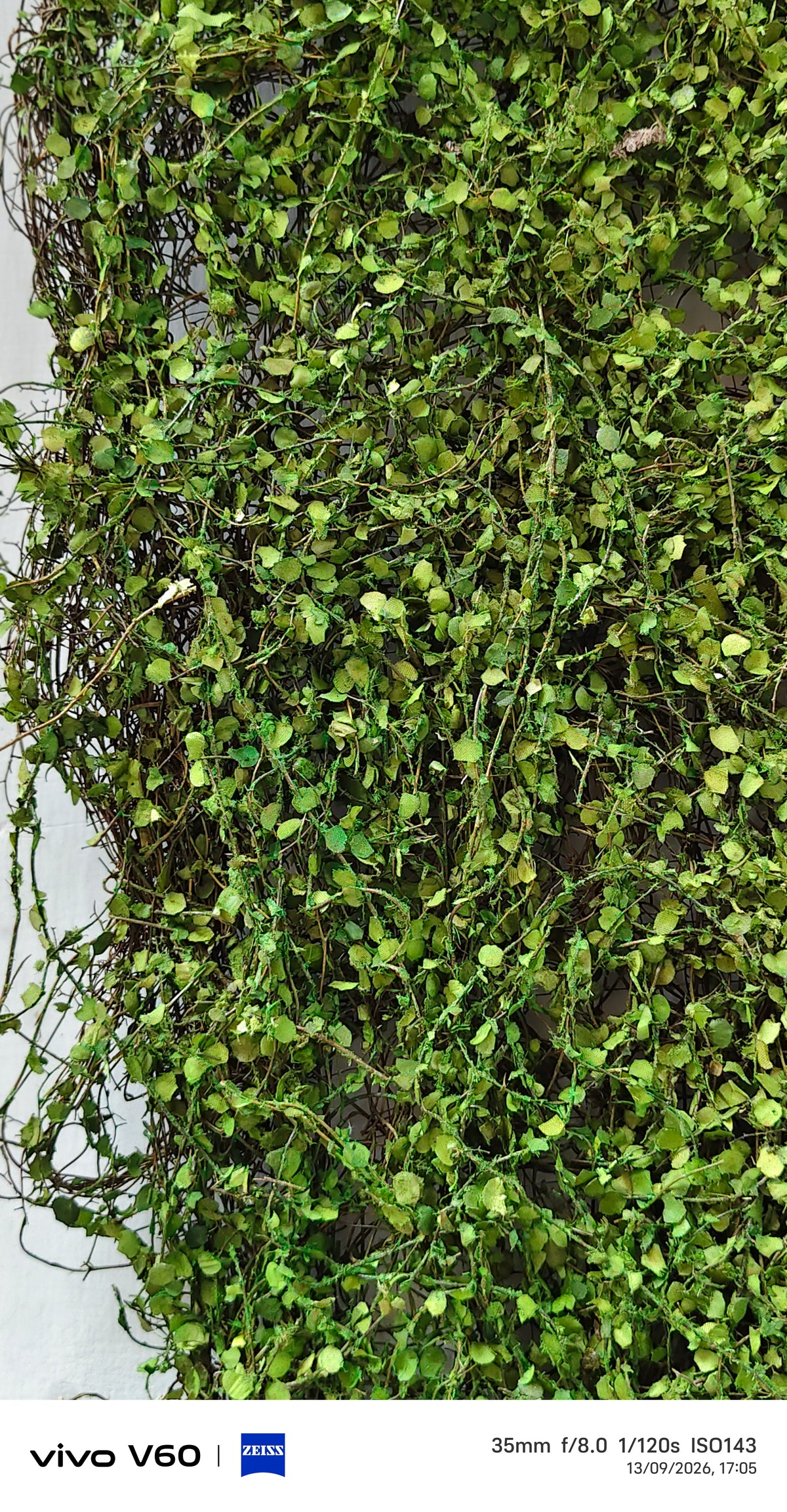 Artificial Moss Forest wall Matt