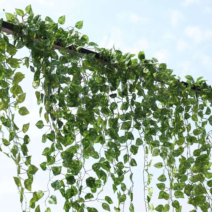HANGING LEAVES VINES (bails)
