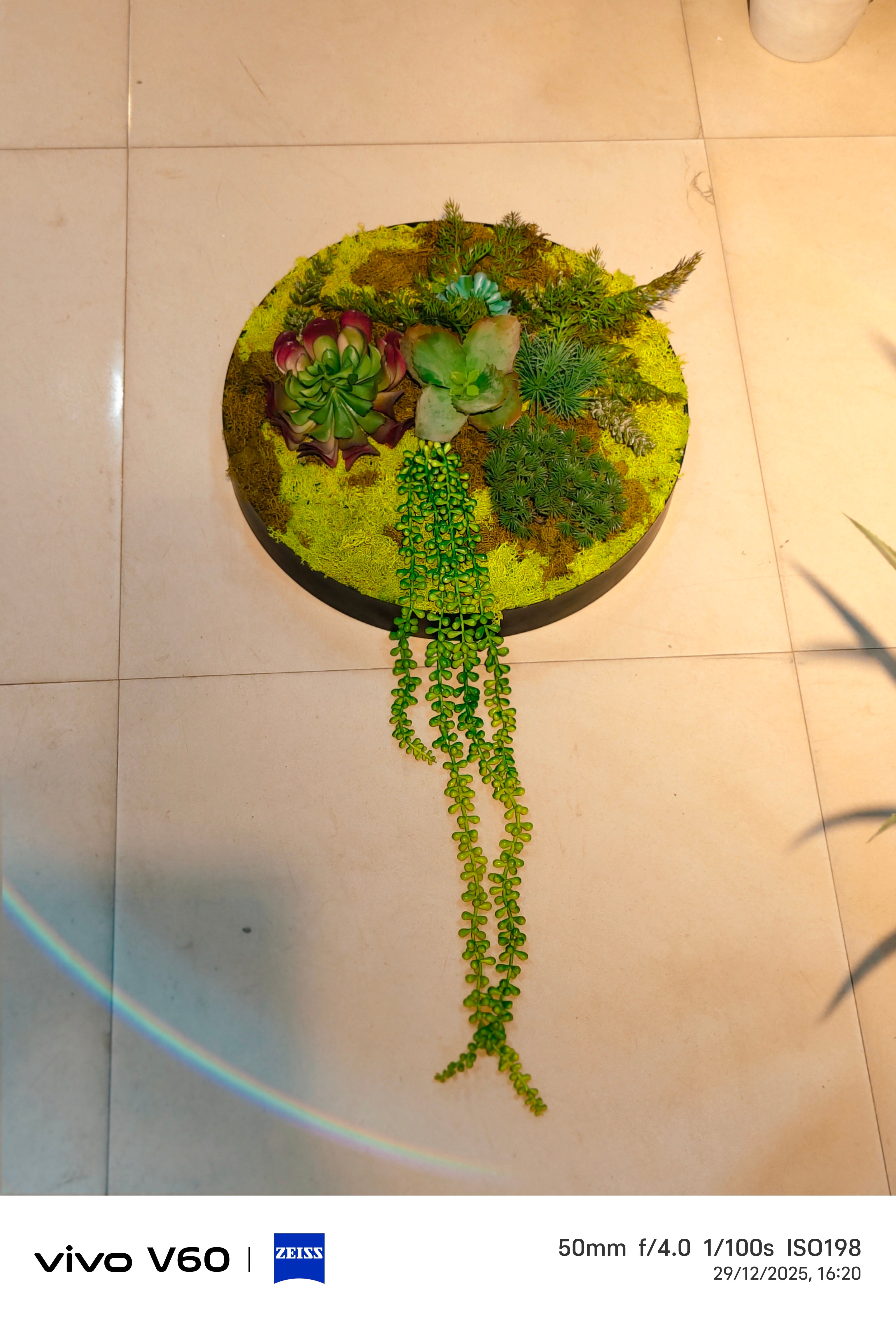 Moss Drift -Wall art