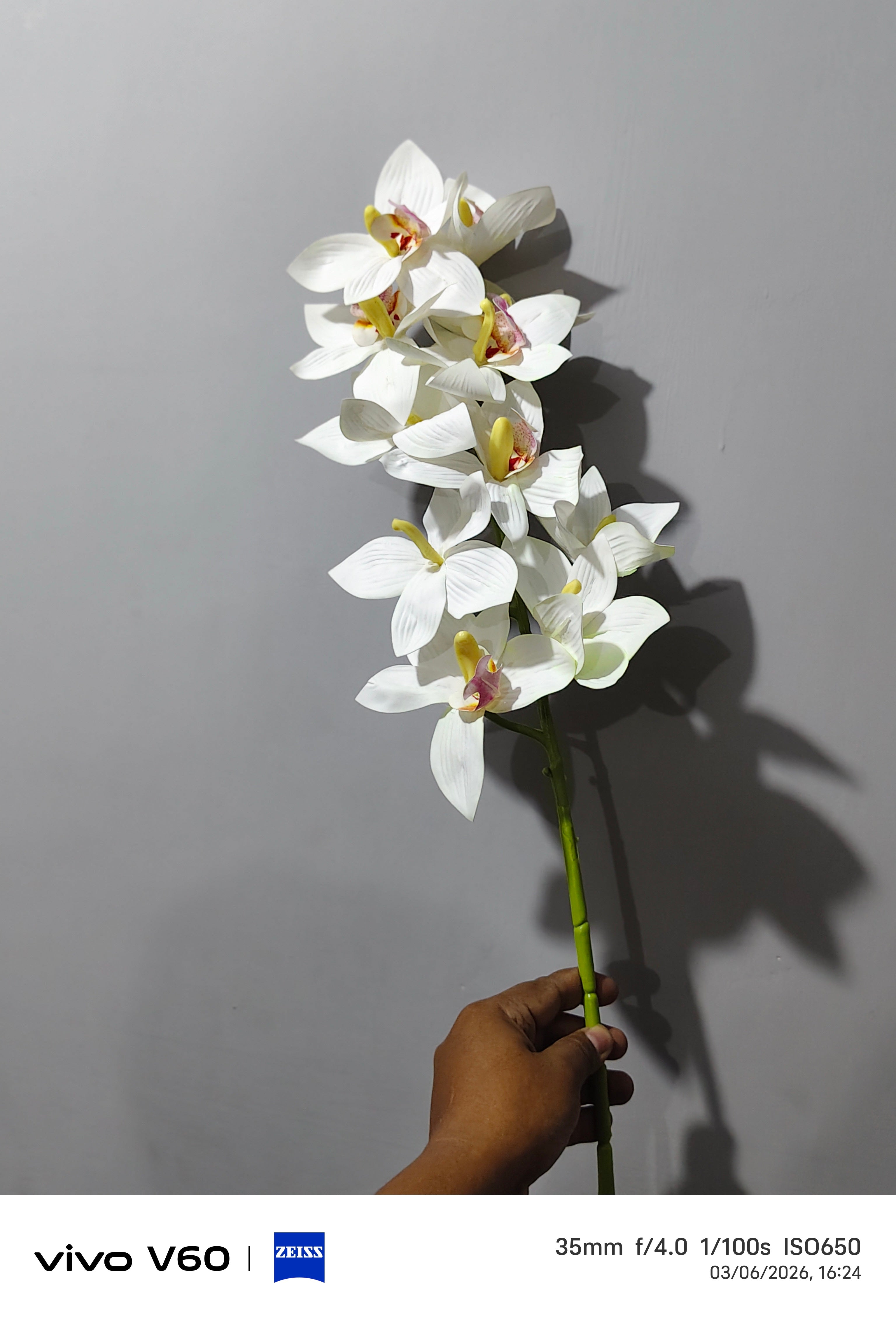 Premium Silk orchid