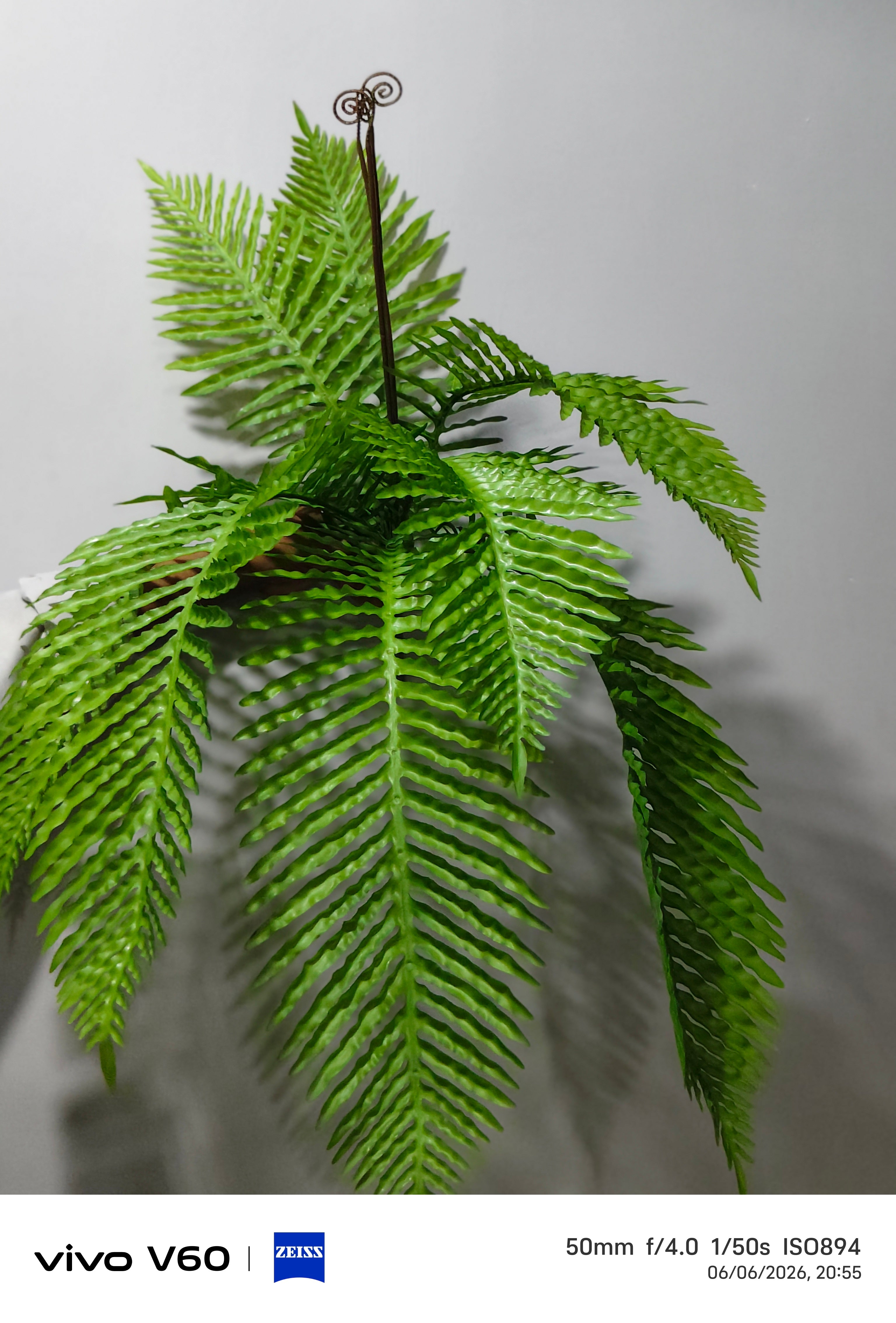 Premium Faux Boston Fern Bunch