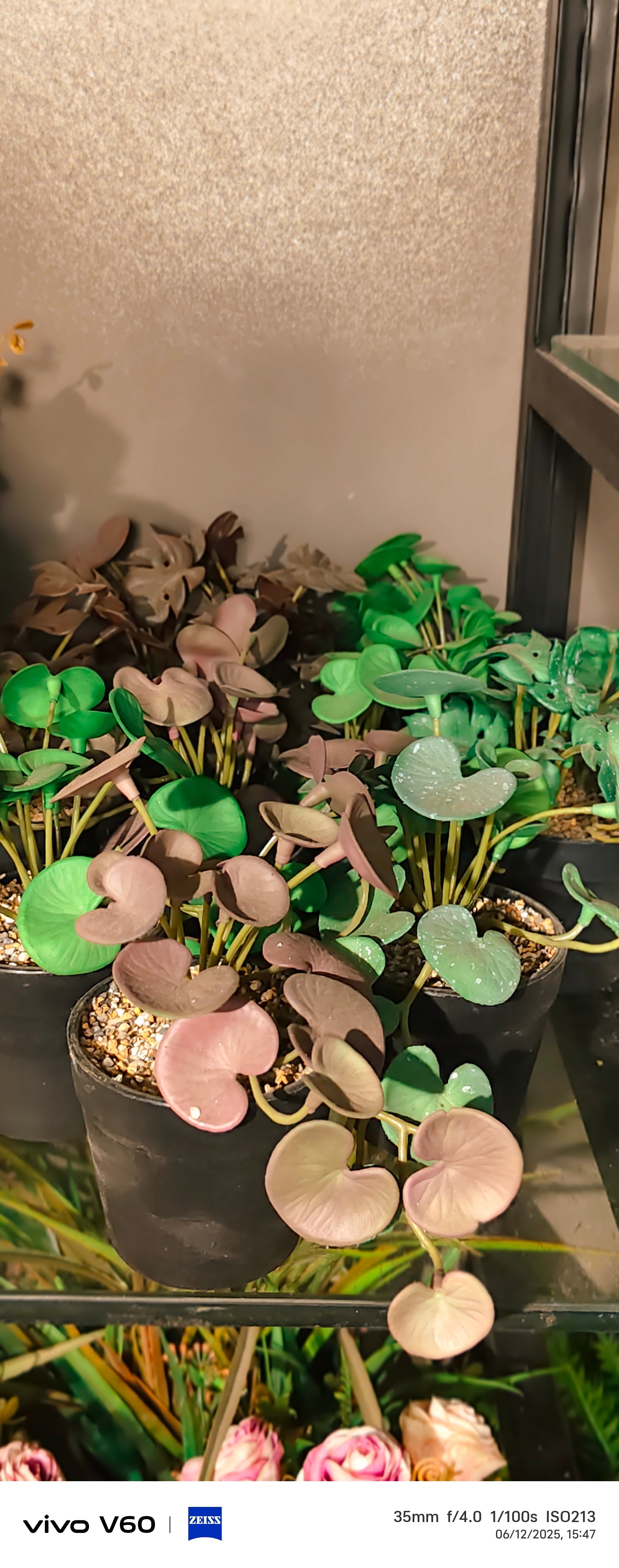 Life-like mini plants