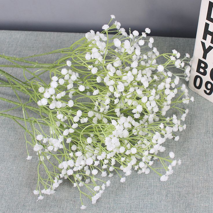Baby's Breath stems