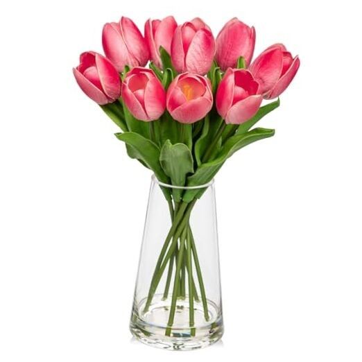 Fomic tulips