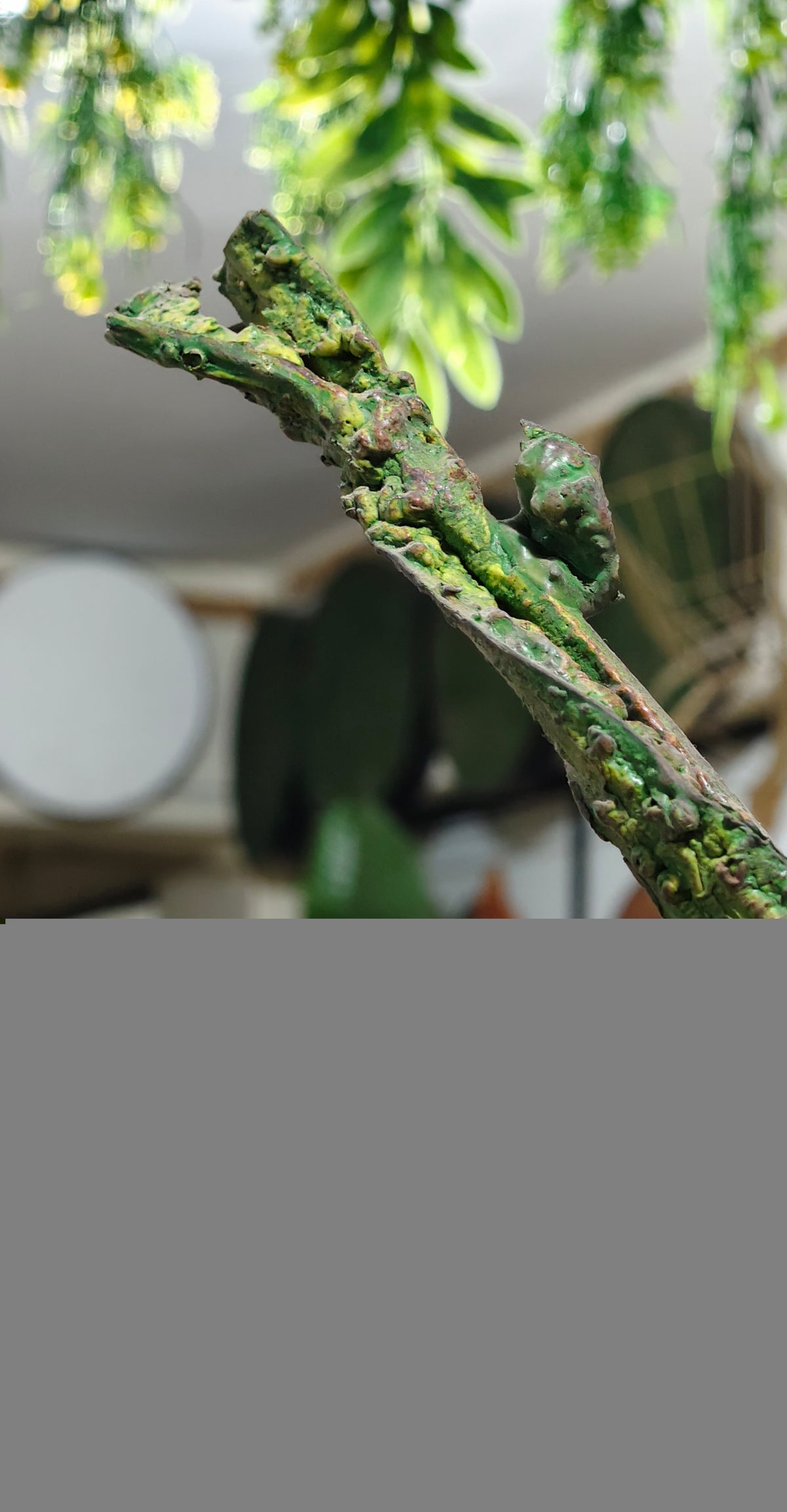 Exquisite Hyper-Realistic  Moss Stem