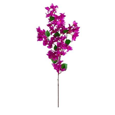 Bougainvilleas stems