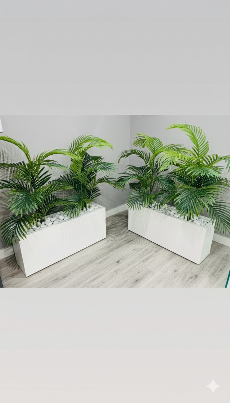Areca Kiary with horizontal Planter